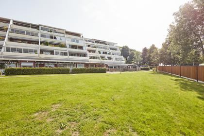 Bild av närområdet