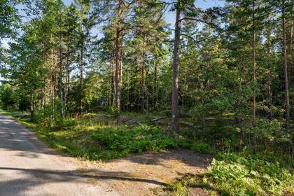 Bild av närområdet