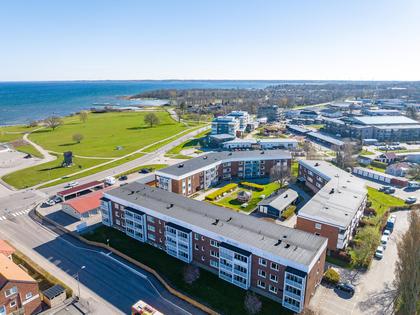 Bild av närområdet