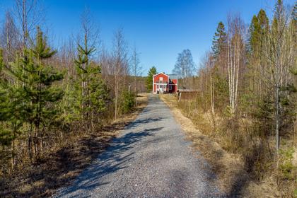 Bild av närområdet