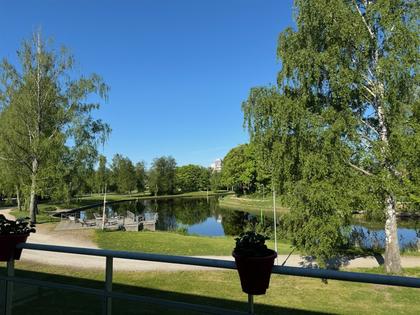 Bild av närområdet