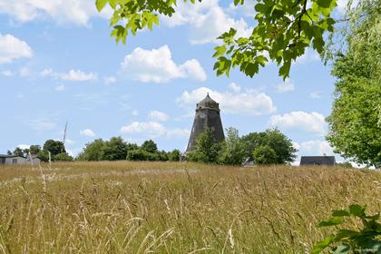 Bild av närområdet