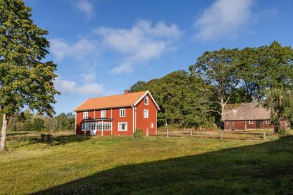 Bild av närområdet