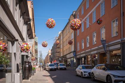 Bild av närområdet