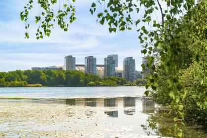 Bild av närområdet