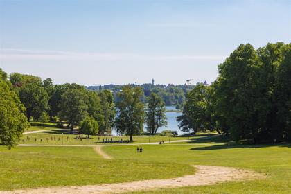 Bild av närområdet