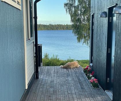 Balkong eller utsiktsbild