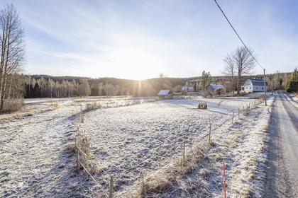 Bild av närområdet