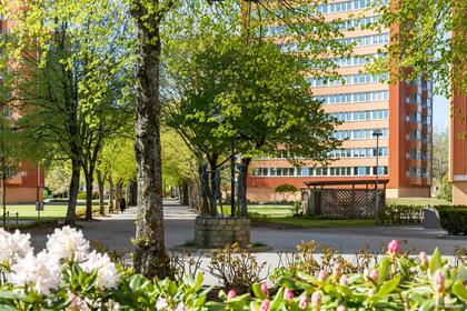 Bild av närområdet