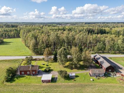 Bild av närområdet