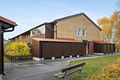 Bild av närområdet