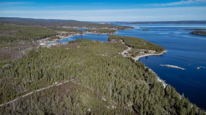 Bild av närområdet