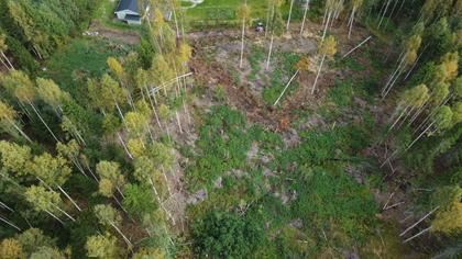 Illustrerad karta över fastigheten eller området