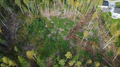 Illustrerad karta över fastigheten eller området