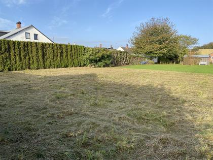 Bild av närområdet