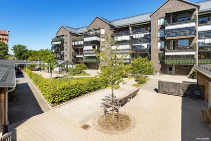 Bild av närområdet