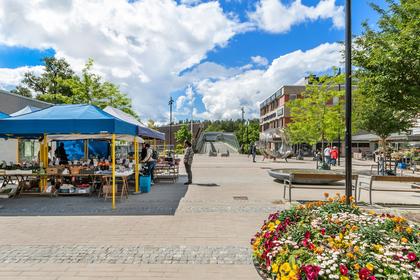 Bild av närområdet