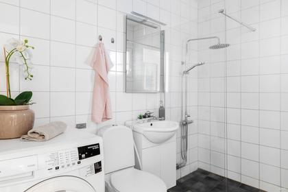 Tvättstuga/badrum
