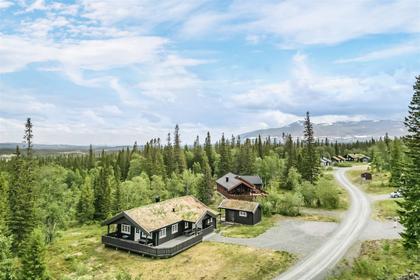 Bild av närområdet