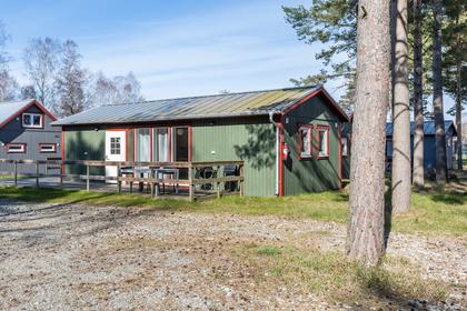 Bild av närområdet