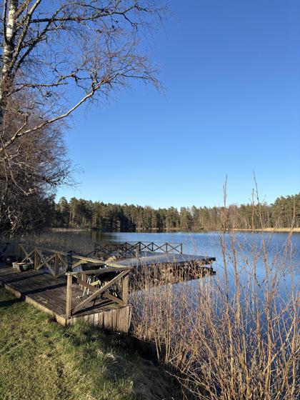 Bild av närområdet