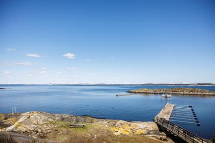 Bild av närområdet