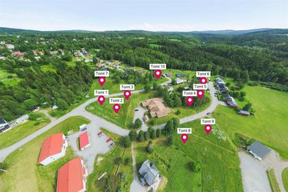 Bäverstigen, Bjurholm