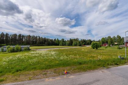 Bäverstigen, Bjurholm