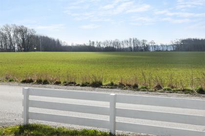 Bild av närområdet