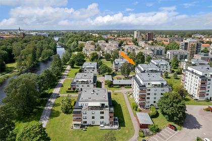 Bild av närområdet