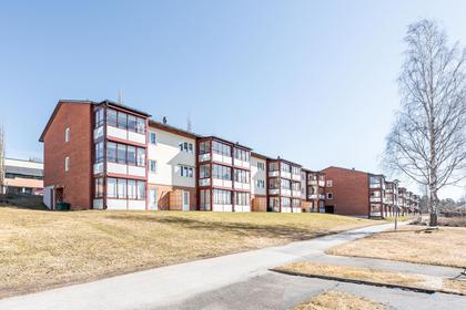 Bild av närområdet