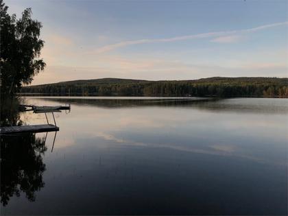 Bild av närområdet