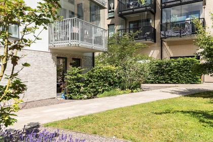 Bild av närområdet