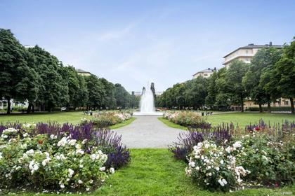 Bild av närområdet