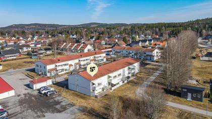 Bild av närområdet