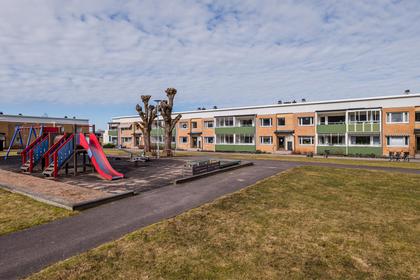 Bild av närområdet