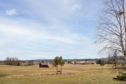 Bild av närområdet