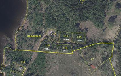 Illustrerad karta över fastigheten eller området