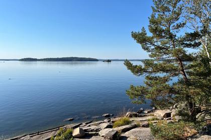 Bild av närområdet