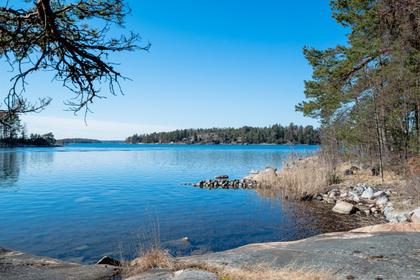 Bild av närområdet