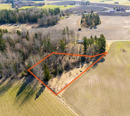 Bild av närområdet