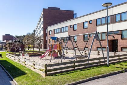 Bild av närområdet