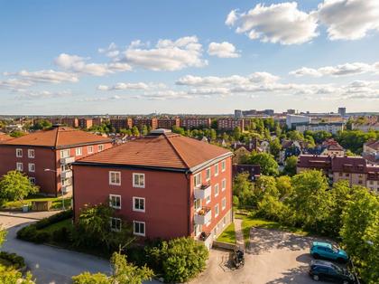 Bild av närområdet