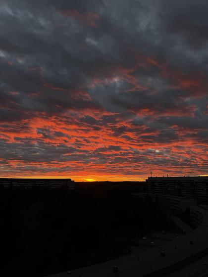 Illustrerad karta över fastigheten eller området