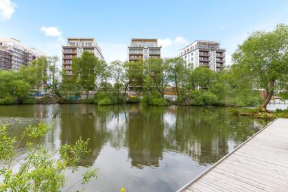 Bild av närområdet