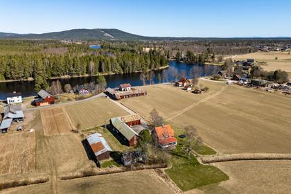 Bild av närområdet