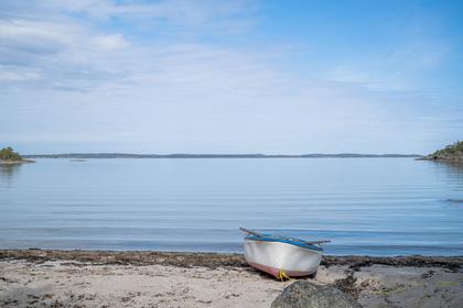 Bild av närområdet