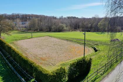 Bild av närområdet