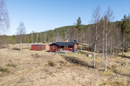 Bild av närområdet