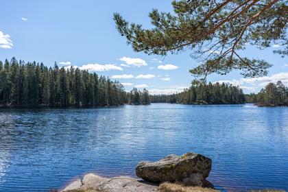 Bild av närområdet